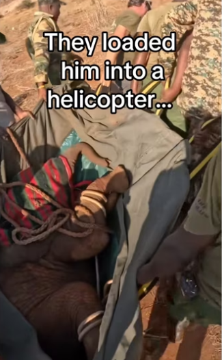 H3101004_tiktok_747185911_part2