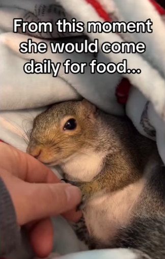 H3101005_tiktok_747179395_part2