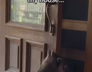 H0102001_tiktok_7424604074