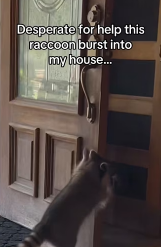 H0102001_tiktok_7424604074