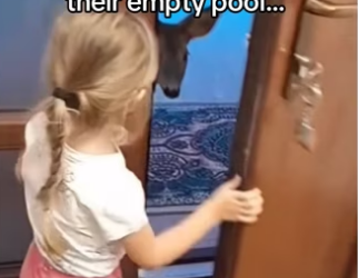 H0102003_tiktok_7423862612