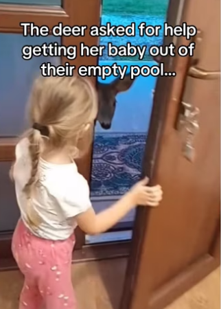 H0102003_tiktok_7423862612