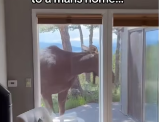 H0102004_tiktok_7423804032