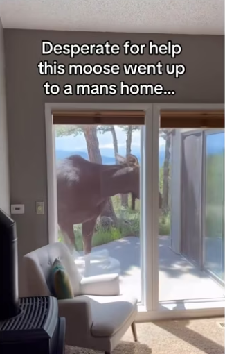 H0102004_tiktok_7423804032