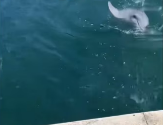 H0102005_tiktok_7423236101