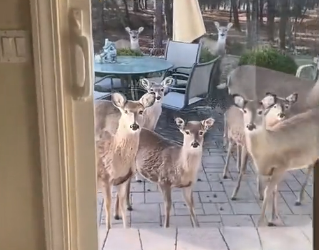 H0102002_tiktok_7425350392