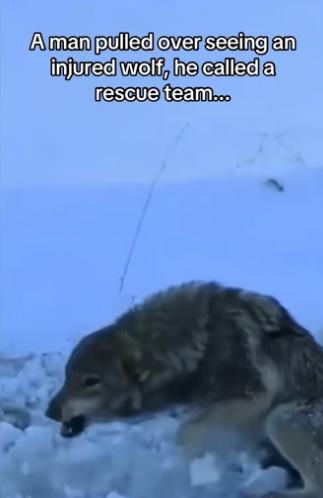 H0102004_tiktok_7424901240