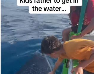 H0102005_tiktok_7424568448