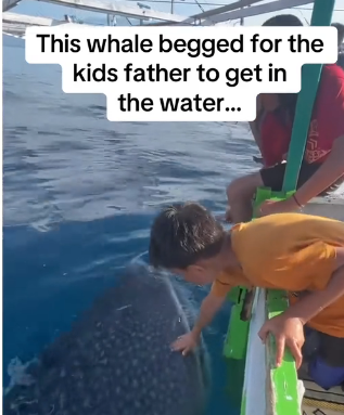 H0102005_tiktok_7424568448