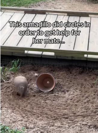 H0102001_tiktok_7426466249