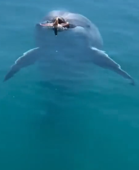 H0102002_tiktok_7426177316