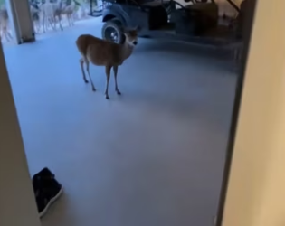 H0102003_tiktok_7426034815