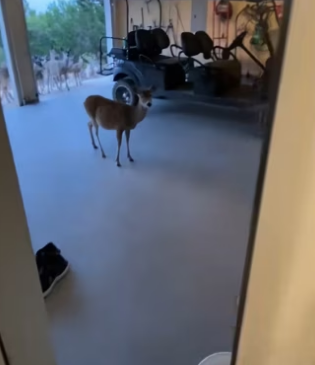 H0102003_tiktok_7426034815