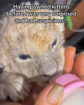 H0102001_tiktok_7427204356_part2