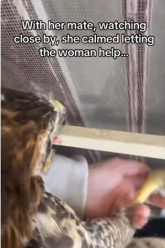 H0102002_tiktok_7426934036_part2