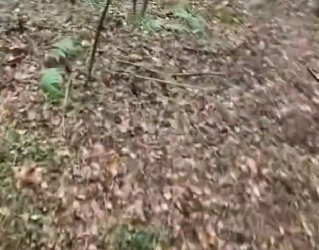 H0102003_tiktok_7426838640_part2