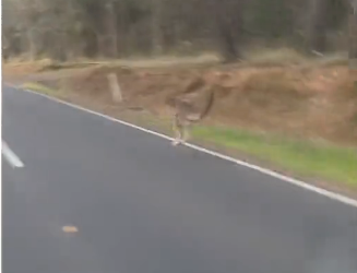 H0102004_tiktok_7426783674_part2