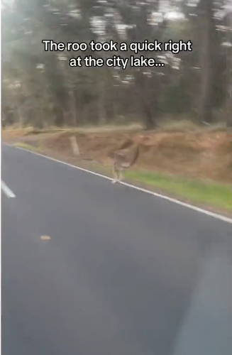 H0102004_tiktok_7426783674_part2