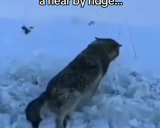 H0102005_tiktok_7426547157_part2