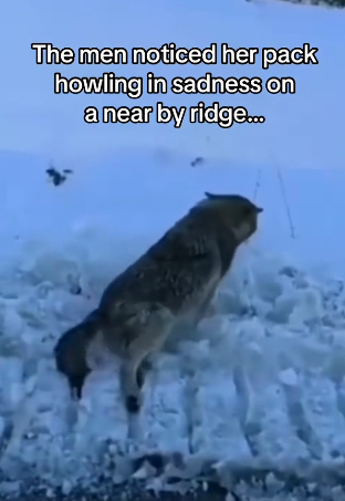 H0102005_tiktok_7426547157_part2