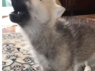 H0102001_tiktok_7428338249_part2