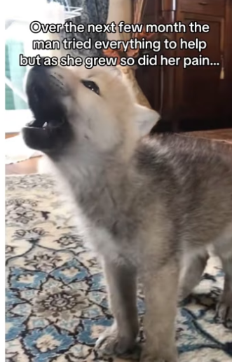 H0102001_tiktok_7428338249_part2