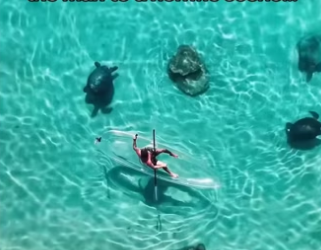 H0102002_tiktok_7427664012_part2