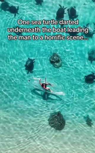 H0102002_tiktok_7427664012_part2