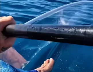 H0102004_tiktok_7427523665_part2