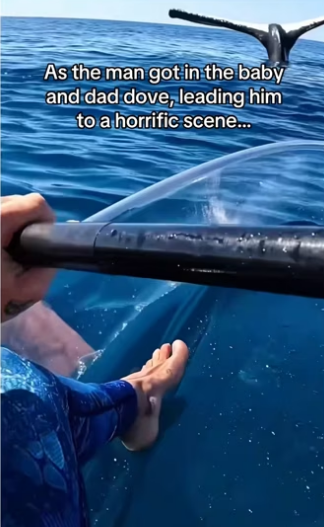 H0102004_tiktok_7427523665_part2