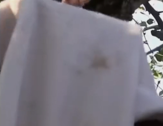 H0102005_tiktok_7427300967_part2