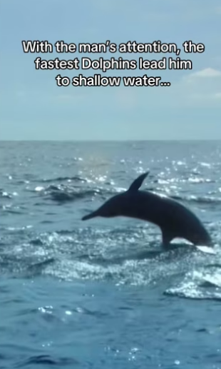 H0102005_tiktok_7428686888_part2