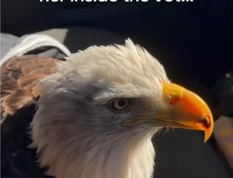 H0102003_tiktok_7429085838_part2