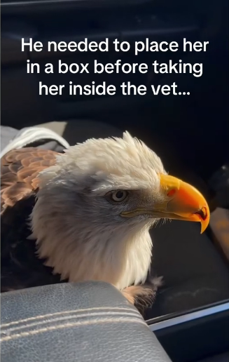 H0102003_tiktok_7429085838_part2