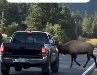 H0102001_tiktok_7430153964_part2