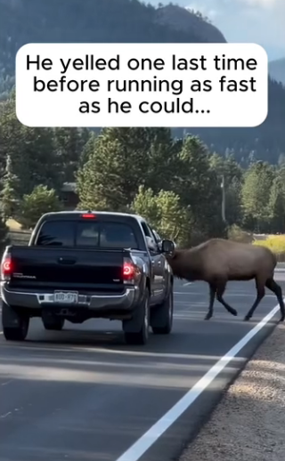 H0102001_tiktok_7430153964_part2