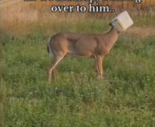 H0102002_tiktok_7429383112_part2