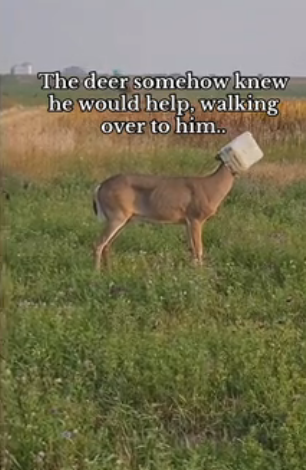 H0102002_tiktok_7429383112_part2