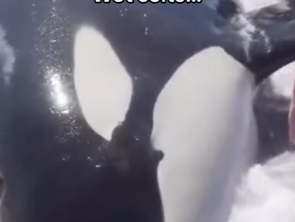 H0102004_tiktok_7428775089_part2