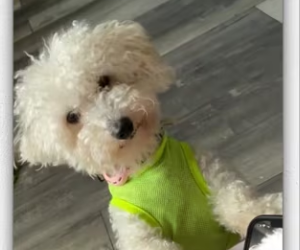 Please stop by send well wish to wonderful dog man_part2