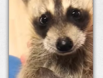 Thanks giving him happy home_part2