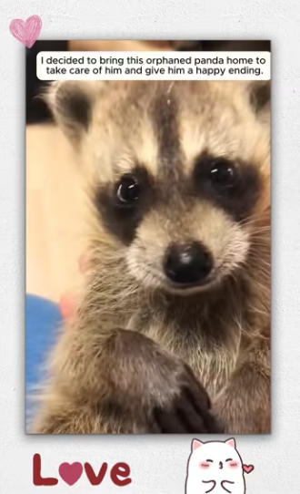 Thanks giving him happy home_part2