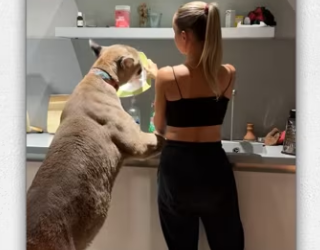 What do you think about taking care of large…_part2