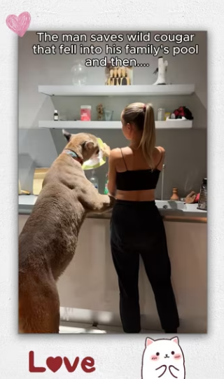 What do you think about taking care of large…_part2