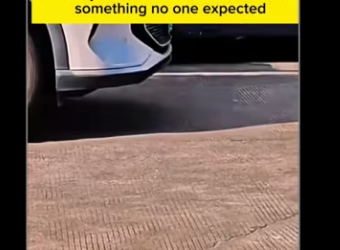 Rescue kitten._part2