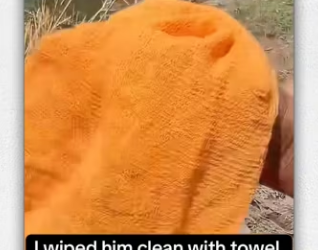 Story of recuse my dog become friend_part2