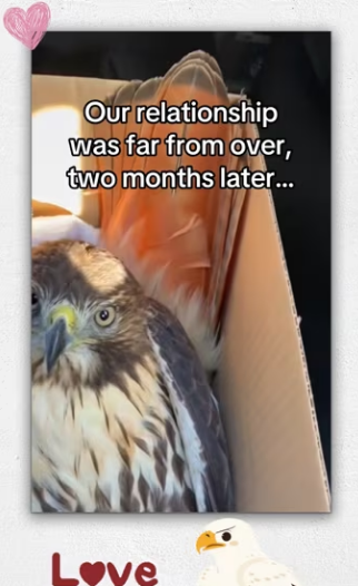 Windows way too clean #wholesome #animals_part2