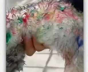 Animal #help #save #love #animallove #dog #pet_part2