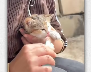 If you see happen in your neighborhood will you he_part2