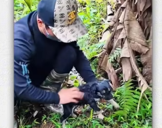 Poor puppy was trapped in sewer man saw it recuse _part2